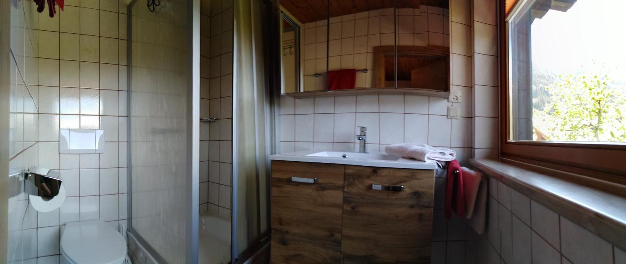 Ferienhaus Regina Werfenweng Cameră foto